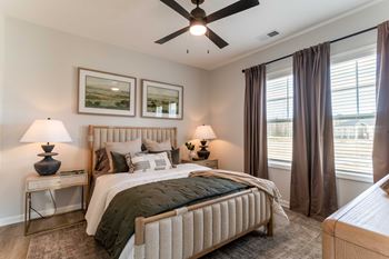 Ceiling fans*
